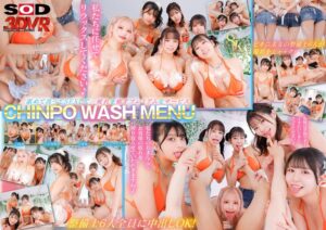 柏木こなつ・水原みその・羽月乃蒼❤【VR】【8K】CHINPO WASH VR ビキニ整備士6人による全身淫乱点検 全身舐められ！洗われ！究極ハーレム|13dsvr01821 評価4.33