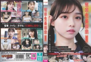 ❤電車生姦制裁 ＃001|ydns00001-評価3.58