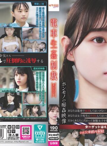 ❤電車生姦制裁 ＃001|ydns00001-評価3.58