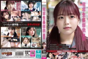 ❤電車生姦制裁 ＃011|ydns00011
